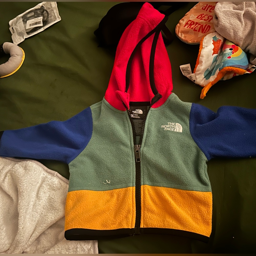 The north face hoodie